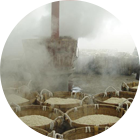 大发体育(中国游)官方网站