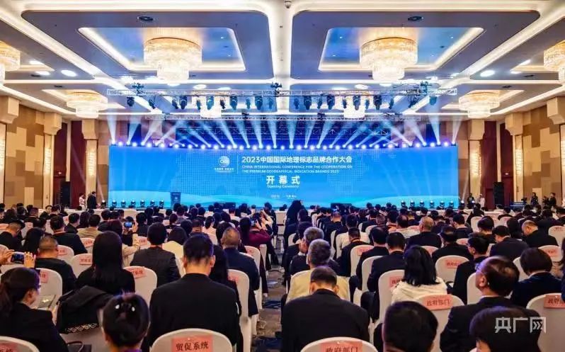 大发体育(中国游)官方网站